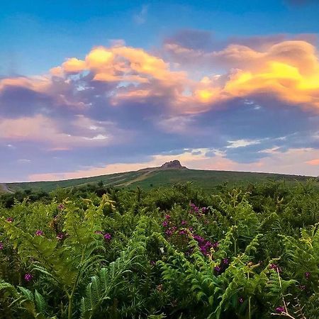 Haytor Court, Haytor, Dartmoor Διαμέρισμα Εξωτερικό φωτογραφία
