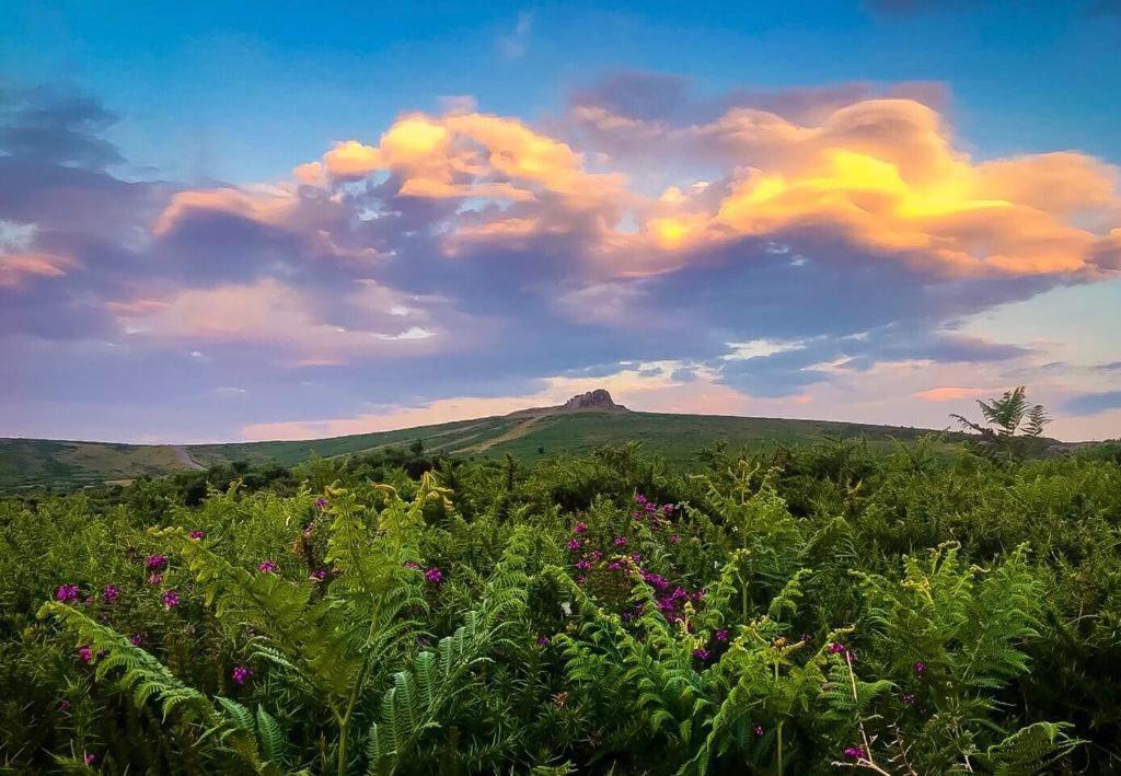 Haytor Court, Haytor, Dartmoor Διαμέρισμα Εξωτερικό φωτογραφία