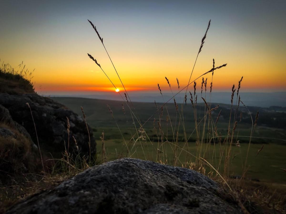 Haytor Court, Haytor, Dartmoor Διαμέρισμα Εξωτερικό φωτογραφία