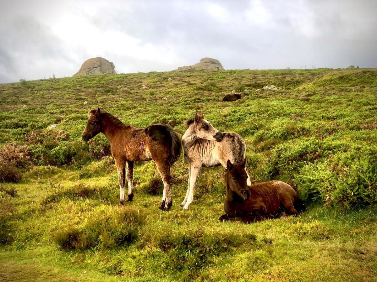 Haytor Court, Haytor, Dartmoor Διαμέρισμα Εξωτερικό φωτογραφία