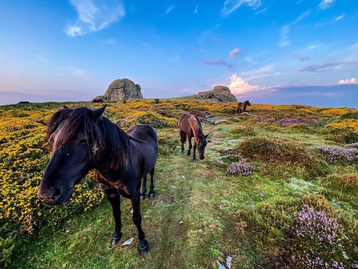 Haytor Court, Haytor, Dartmoor Διαμέρισμα Εξωτερικό φωτογραφία